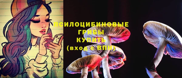 PSILOCYBIN Арсеньев