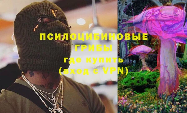 PSILOCYBIN Арсеньев