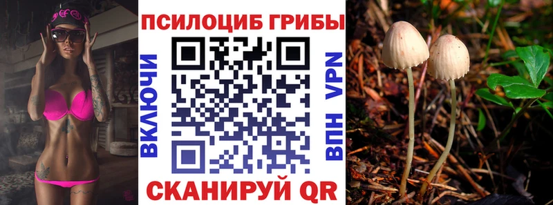 Галлюциногенные грибы Magic Shrooms  наркошоп  KRAKEN вход  Кирово-Чепецк 